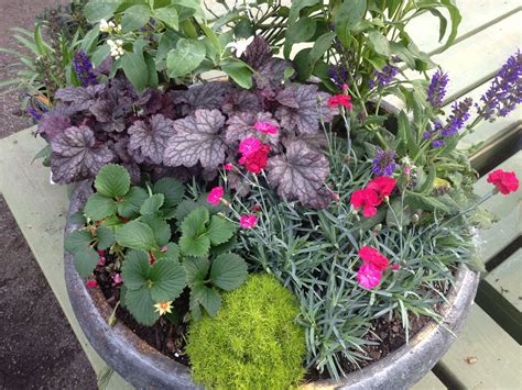 perennial container garden front yard landscaping container