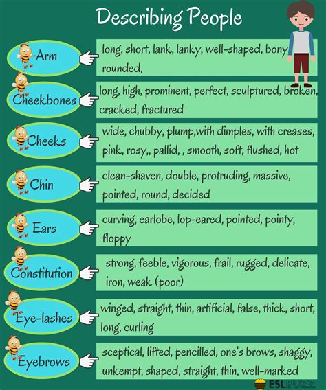learn the most frequently used english adjectives in speaking with