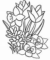 Tulip Pages Coloring Flower Getdrawings sketch template