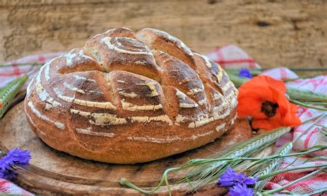 proc je kvaskovy chleb prospesny vyhody  jak  ho vyrobit mirdocz