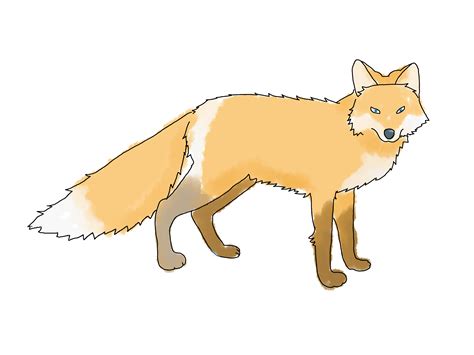 4 Ways To Draw A Fox Wikihow