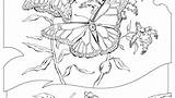 Resources Natural Coloring Pages Getdrawings Getcolorings Color sketch template