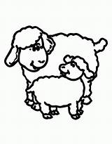 Sheep Lamb Coloring Lion Outline Pages Clipart Drawing Clip Printable Cliparts Getdrawings Color Popular Library Getcolorings Coloringhome sketch template