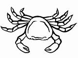 Rac Colorat Crab Planse Desene Fise Raci Hermit Crabi Racheta Desenat Animale Plansa Insecte Imaginea Racul Conteaza Educatia Lui sketch template