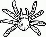 Bestcoloringpagesforkids Spiders sketch template