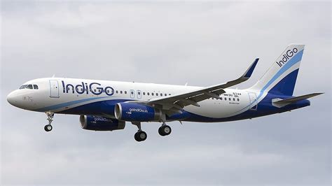 indigo  resume flights     phased manner