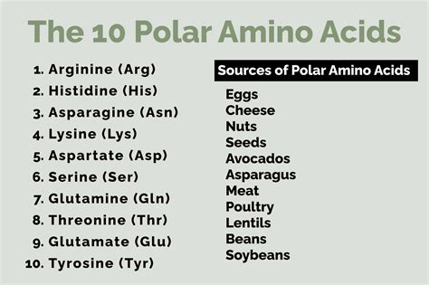 polar amino acids lifeworks wellness center