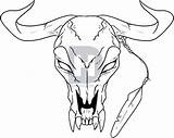 Longhorn Bull Drawing Paintingvalley sketch template