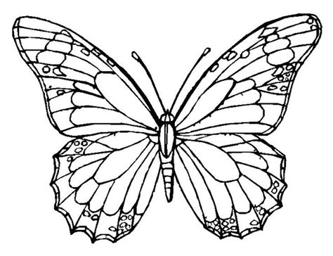printable butterfly coloring page coloringpagebookcom