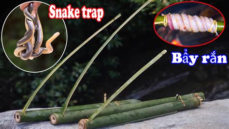 cách làm những chiếc bẫy rắn bằng ống tre hiệu quả nhất sinh tồn