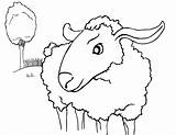 Sheep Lamb Kolorowanki Owce Lion Bestcoloringpagesforkids Drukuj Pobierz sketch template