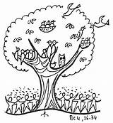 Seed Parable Plantes Parables Okra Ordinaire Dimanche Temps Semée Longues Grandit Branches étend Quand Dépasse Potagères Sower Activities sketch template