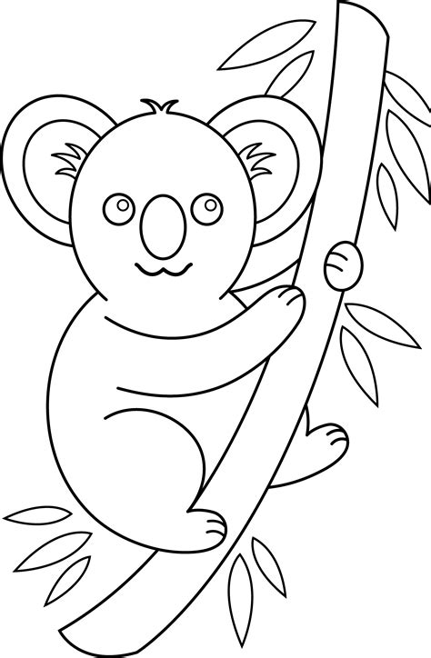 koala coloring page  clip art