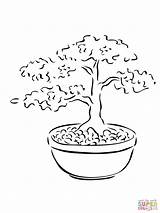 Bonsai Coloring Tree Pages Miniature Drawing Printable Drawings Trees Clipart Kids Leaves Color sketch template