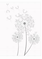 Coloring Dandelions Pusteblume Malvorlage Tarassaco Kleurplaat Paardebloemen Pissenlits Dandelion Ausmalbild Paardenbloem Ausdrucken Disegni Paardebloem sketch template