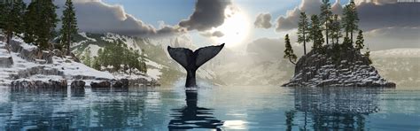 Visual Paradox Free 3d Wallpaper Tale Of The Whale