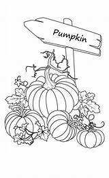 Fall Pumpkins Stamps Digi Zentangle Zeichnung Malvorlagen Kidsplaycolor Flores Bordado sketch template