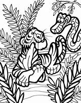 Dschungeltiere Ausmalbilder Dschungel Malvorlagen sketch template