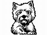 Terrier West Highland Westie Yorkie Scroll Saw Hund Silhouet Hunderasse Westies Honden Lijntekening Stammbaum Tier sketch template