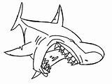 Pages Jaws Coloring Color Getcolorings Shark sketch template