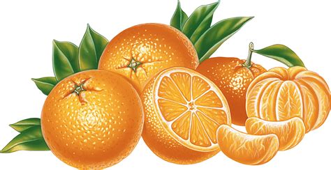 orange oranges png image purepng  transparent cc png image