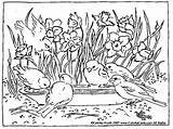 Birdbath Daffodils sketch template