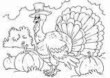 Kalkoen Thanksgiving Afbeelding sketch template