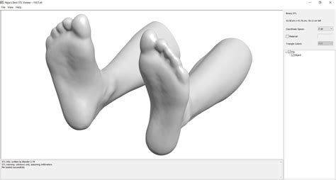 print model feet stl cgtrader
