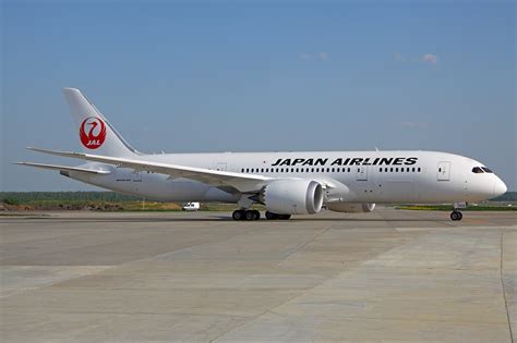 japan airlines customers data leaked  winglet