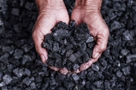 batu bara mineral bumi  fosil tumbuhan  berisiko bagi alam