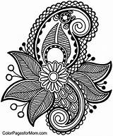 Pages Coloring Adult Paisley Getcolorings sketch template