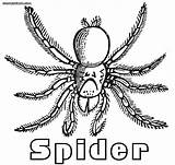 Spider Coloring Pages Scary Arachnid Tarantula Drawing Print Getdrawings 24kb 1000 sketch template