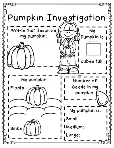 pumpkin investigation worksheet kindergarten