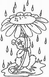 Pluie Fleur Souris Rain Abrite Coloring Colorat Soricei Animale Coloriages Nature Planse Dessins sketch template