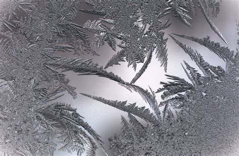 eisblume foto bild monatswettbewerbe natur   frost