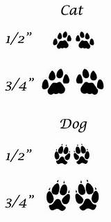 Paw Cat Dog Print Tattoo Tattoos Prints Paws Memorial Small Between Cliparts Pet Dogs Clipart Bing Animal Tatoos Photobucket Vs sketch template