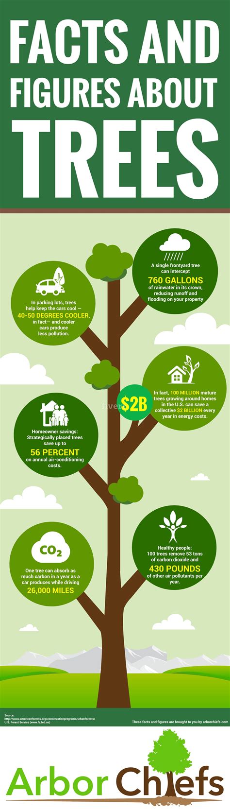 amazing facts  figures  trees infographic amazing facts