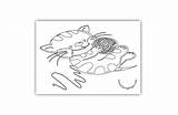 Coloring Kitten Wool Ball Red Cat Pages sketch template