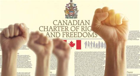 canadas charter  rights  freedoms   meant