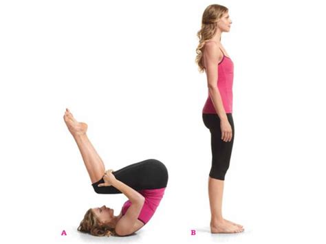 yoga poses   flatter belly yoga poses  abdominal