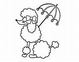 Poodle Coloring French Pages Para Dibujos Animales Sunshade Drawing Paris Printable Embroidery Colorear Google Perros Poodles Coloringcrew Au Stencils Dibujo sketch template