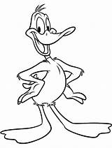 Duck Daffy Coloring Pages Color Print Kids sketch template