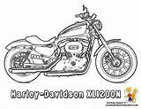 Coloring Harley Pages Davidson Motorcycle Logo Motorcycles Clipart Sheets Colouring Color Adult Print Drawing Motor Moto Tattoo Indian Cool Ktm sketch template