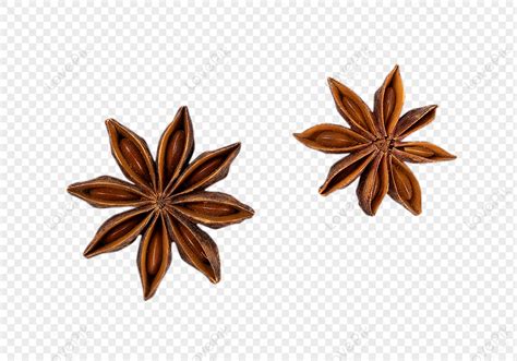 star anise isolated png images  transparent background    lovepik