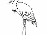 Coloring Stork Pages Getcolorings sketch template