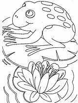 Frog Toad Comfortably sketch template