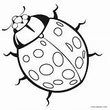 Coloring Ladybug Bug Pages Printable Realistic Insect Kids Cute Drawing Colouring Ladybird Line Lady Bugs Ladybugs Pill Cool2bkids Print Getdrawings sketch template
