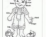 Coloring Body Boy Pages Popular sketch template