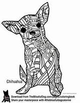 Chihuahua Chihuahuas Zentangle Tête Chien Mandalas Blissful sketch template