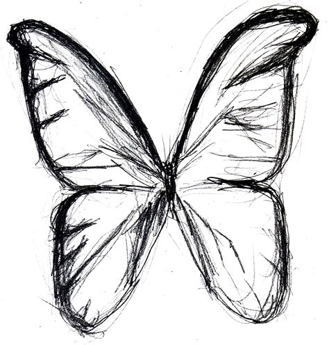 simple butterfly drawing    clipartmag
